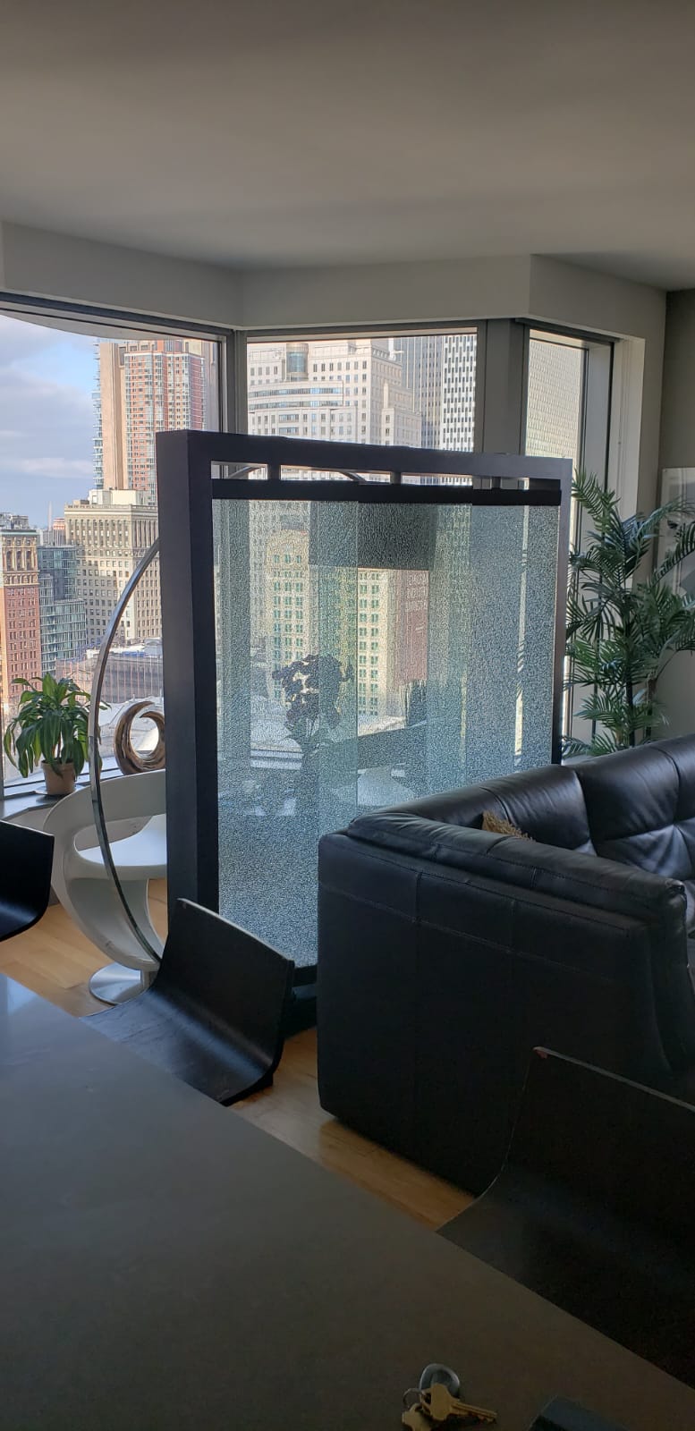 Manhattan Apartment